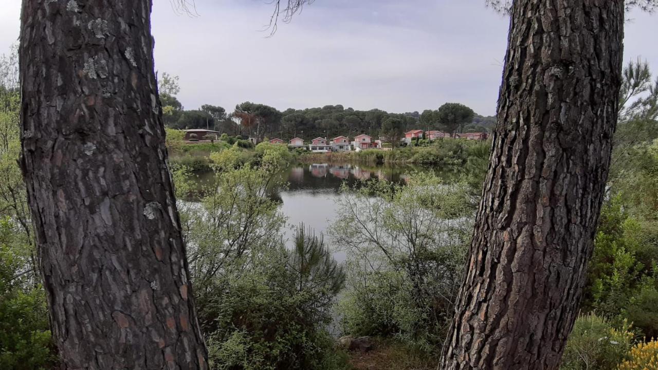 Vila El Pinar Del Coto Córdoba Exteriér fotografie